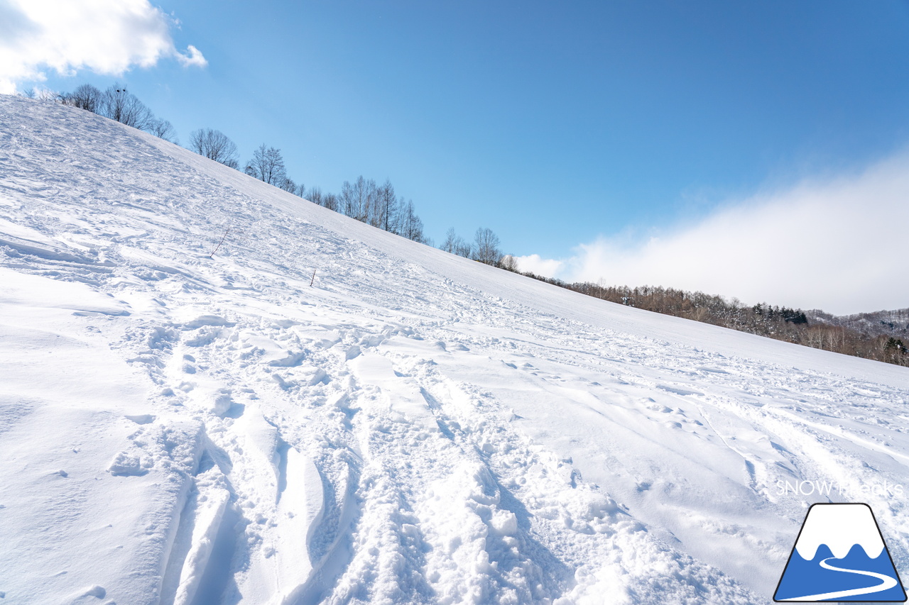 美唄国設スキー場｜2月最後の週末…。太陽の日差しには『春』の気配。でも、ゲレンデの雪は、まだまだ『パウダー』です！